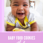 Baby Food Cookies