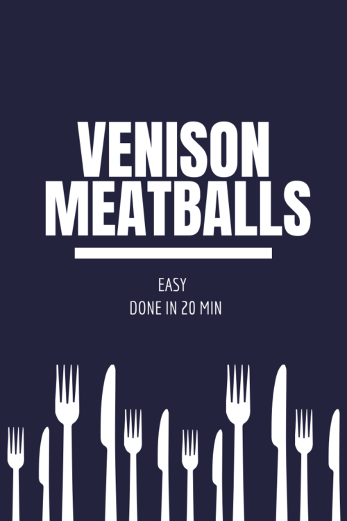 Venison Meatball pin