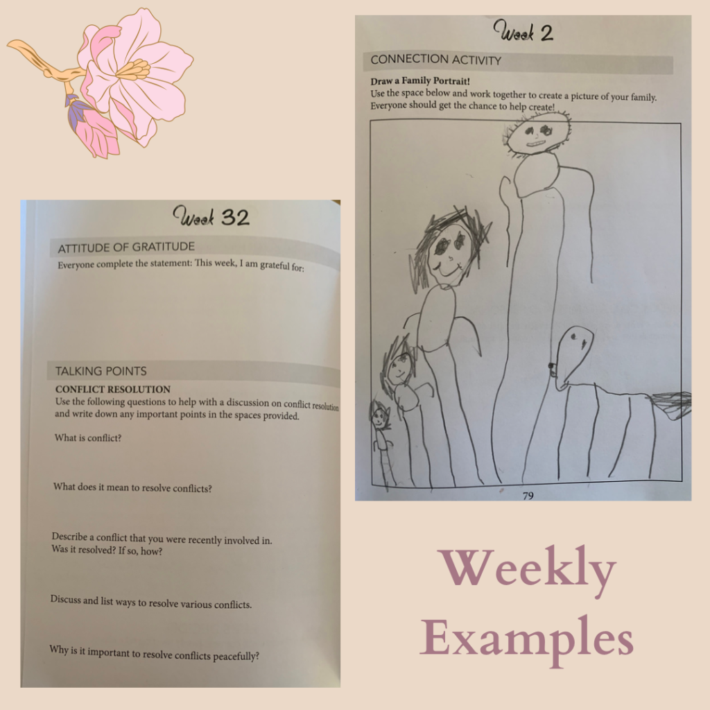 weekly examples