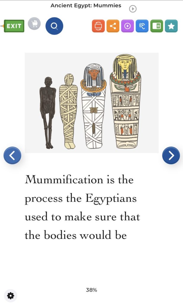 mummy book