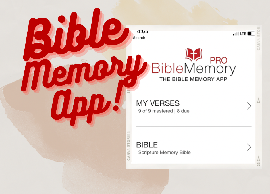 Bible Memory App