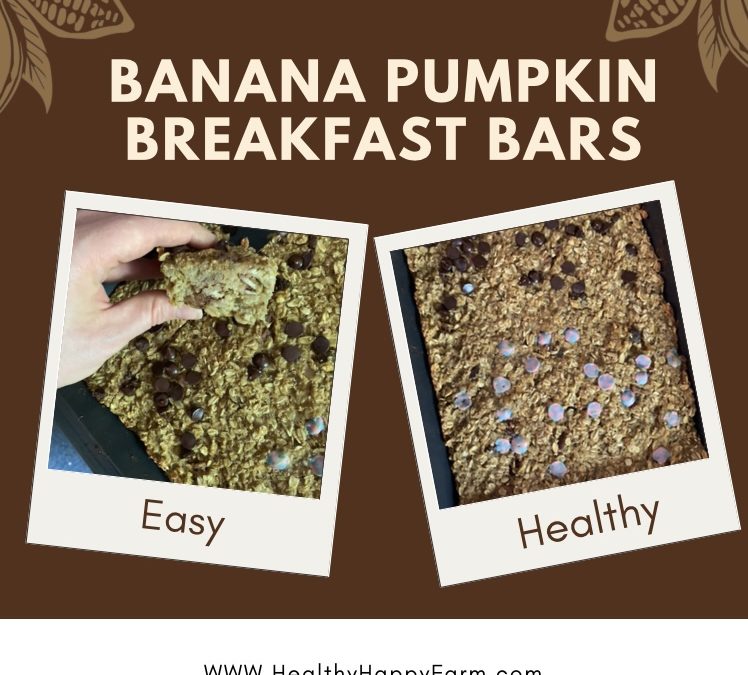 Banana Pumpkin Breakfast Bars