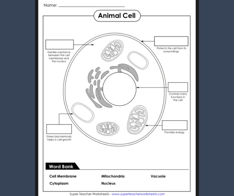 Super Teacher Worksheets - Healthy Happy Farm