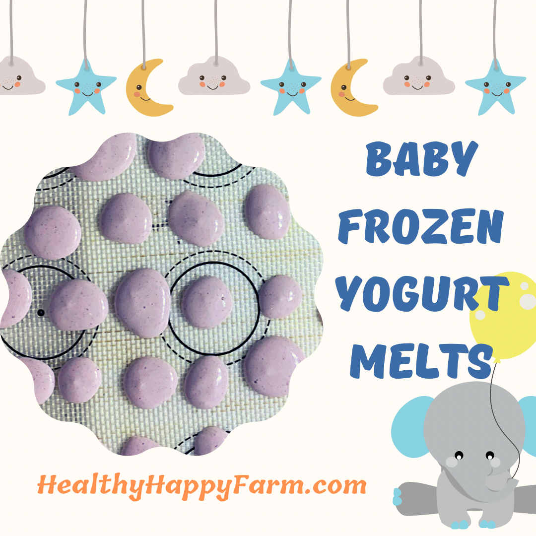 Baby Frozen Yogurt Melts